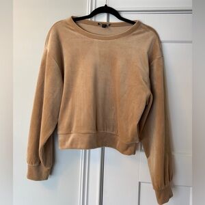 Express Beige Velour Top